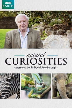 David Attenborough's Natural Curiosities-hd