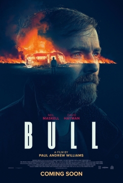 Bull-hd