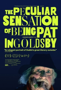 The Peculiar Sensation of Being Pat Ingoldsby-hd