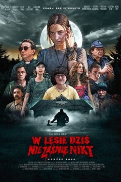 Nobody Sleeps in the Woods Tonight 2-hd