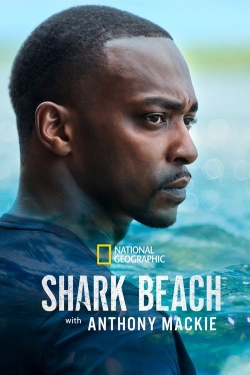 Shark Beach with Anthony Mackie-hd