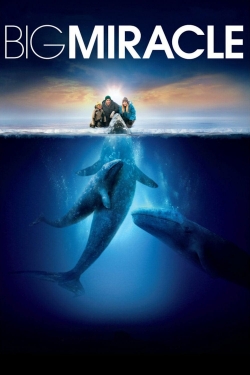 Big Miracle-hd