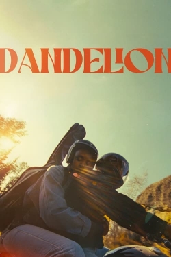 Dandelion-hd