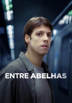 Entre Abelhas-hd