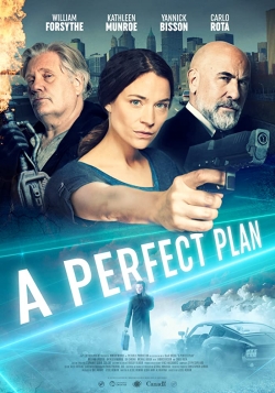 A Perfect Plan-hd