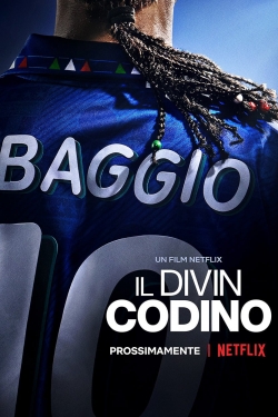 Baggio: The Divine Ponytail-hd