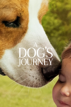 A Dog's Journey-hd