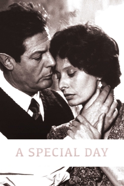 A Special Day-hd