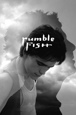 Rumble Fish-hd