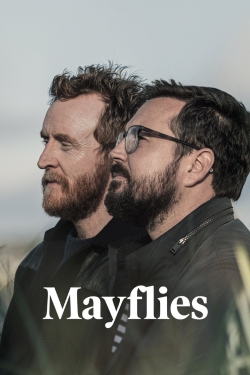 Mayflies-hd