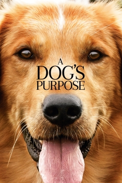 A Dog's Purpose-hd