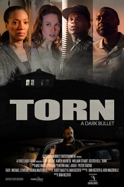 Torn: Dark Bullets-hd