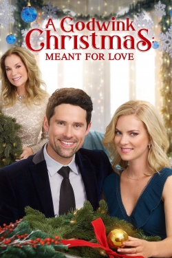 A Godwink Christmas: Meant For Love-hd