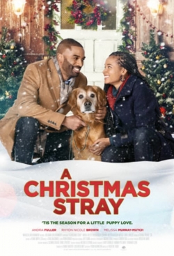 A Christmas Stray-hd