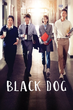 Black Dog-hd