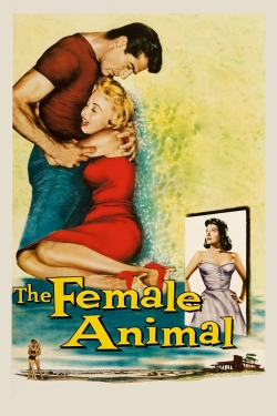 The Female Animal-hd