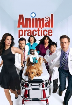 Animal Practice-hd