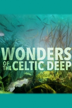 Wonders of the Celtic Deep-hd