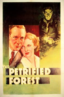 The Petrified Forest-hd